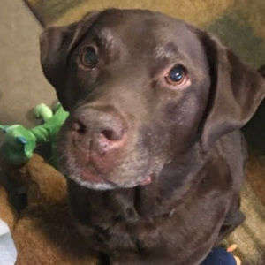 Meet your Posher, Jodi